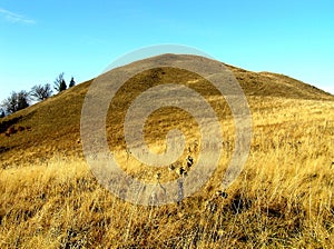 Autumn on mountain meadows