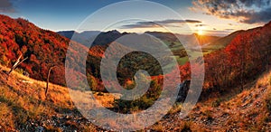 Autumn mountain panorama with red autum trees