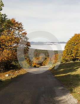 Autumn mountain road on Mont Dore Eastern France.