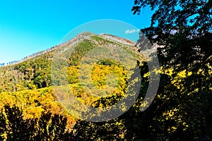 Autumn Mountain Smoky Mountains National Park