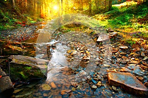 Autumn. Mountain spring, forest landscape