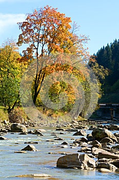 Autumn mountain stony river