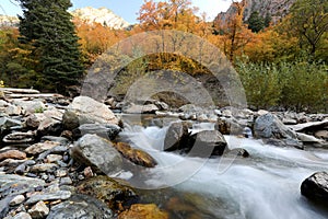 Autumn mountain stream