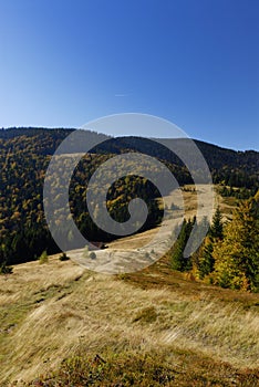 Autumn in the mountains