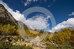 Autumn in the mountains