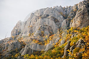 Autumn in the mountains