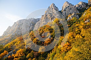 Autumn in the mountains