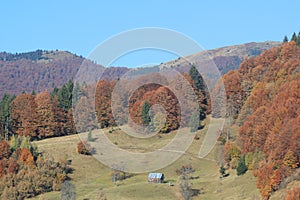 Autumn in the mountains (array Svidovets in Ukrainian Carpathian Mountains)