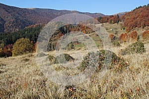 Autumn in the mountains (array Svidovets in Ukrainian Carpathian Mountains)