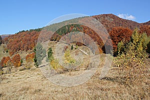 Autumn in the mountains (array Svidovets in Ukrainian Carpathian Mountains)