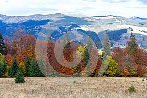 Autumn mountains with colorful trees in sunshine