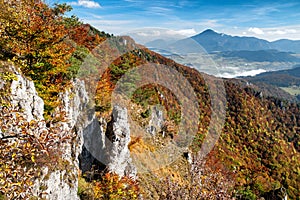 Podzimní hory s barevnými stromy. Pohled z vrchu Zadný Sip na Slovensku