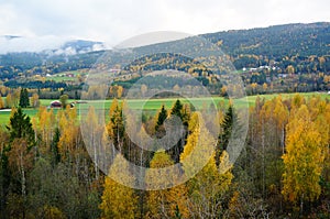 Autumn mountains and forests in Telemark, Norway