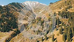 Autumn in the mountains. Green-orange wood, the grasses, coniferous ate.