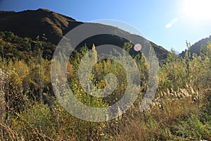 Autumn in the mountains of Trans-Ili Alatau.lmaty city.