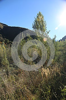 Autumn in the mountains of Trans-Ili Alatau.lmaty city.