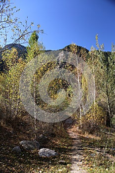 Autumn in the mountains of Trans-Ili Alatau.lmaty city.