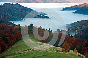 Autumn mountains trees and fields colorful landscape