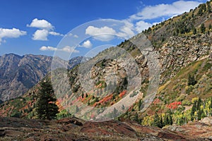 Autumn in the mountains