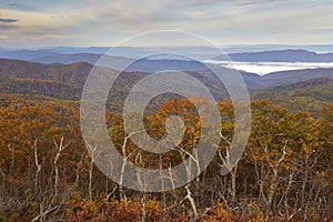 Autumn in the Mountains of Virginia