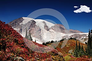 Autumn in Mt. Rainier