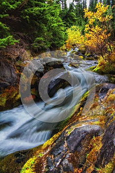 Autumn in Mt. Rainier National Park, Washington State