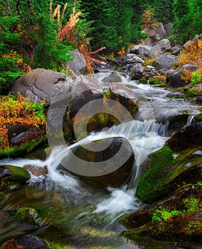 Autumn in Mt. Rainier National Park, Washington State