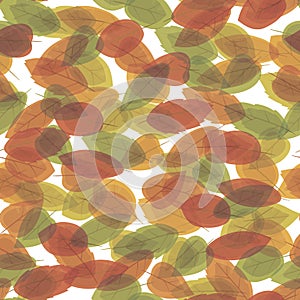 Autumn multicolored leaves of different shapes superimposed on each other a vectorial seamless pattern on a white background