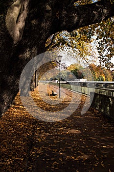 Autumn in Munich