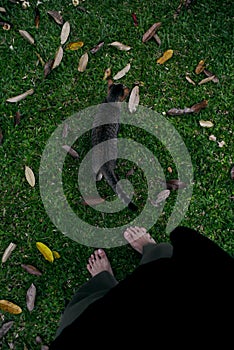 Autumn with my lovely pet