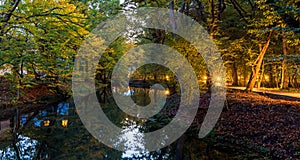 Autumn in the Nabran forest