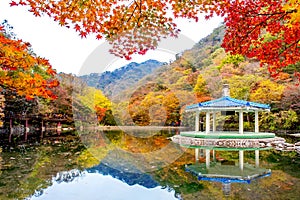 Autumn in Naejangsan National park, South Korea