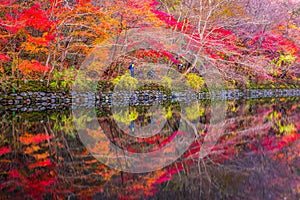 Autumn of Naejangsan National Park,South Korea.