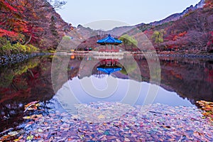 Autumn of Naejangsan National Park,South Korea