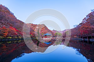 Autumn at Naejangsan Nationnal Park,South Korea