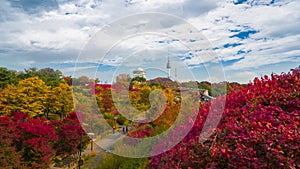 Autumn of Namsan Park in Seoul, South Korea.