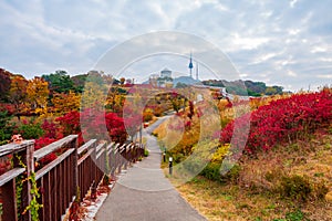 Autumn of Namsan Tower in Seoul,South Korea