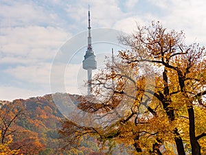 Autumn of Namsan Tower in Seoul,South Korea