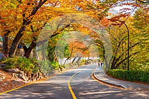 Autumn of Namsan Tower in Seoul,South Korea