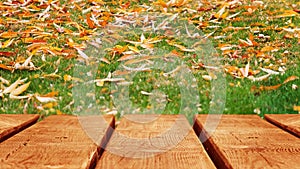 Autumn natural background. The surface of the wooden table on the background of autumn leaves. Soft focus.