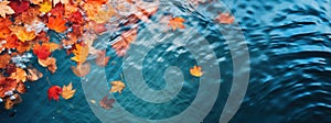 Autumn natural background, web banner. Top view of autumn bright yellow orange red fallen maple leaves in blue water. Autumn mood