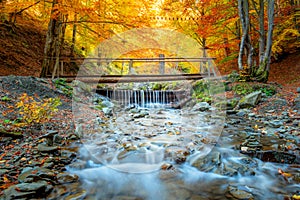 Autumn in natural park - colorful forest trees, small wooden bridge and fast river with stones