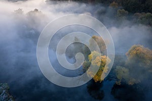 Autumn nature aerial view. Yellow autumnal trees in fog from above. October nature landscape in misty morning