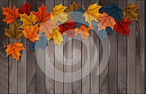 Autumn nature background with colorful leaves on vintage wooden sign.