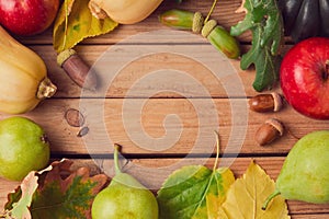 Autumn nature background with fall fruits, pumpkin and leaves