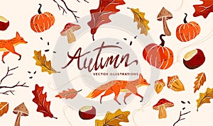 Autumn And Nature Collection