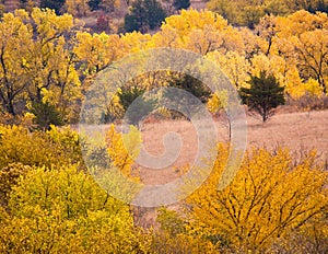 Autumn nature colorful landscape