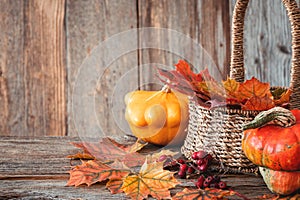 Autumn nature concept. Dogberry, leaves in a basket,pumpkins on a wooden table
