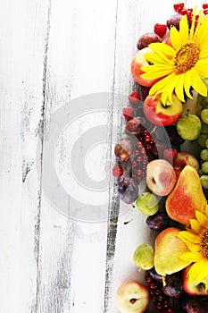 Autumn nature concept. Fall fruit with grapes, plums and sunflower on wood. Thanksgiving dinner