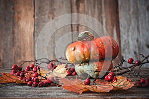 Autumn nature concept. Fall seeds, dogberry, leaves and pumpkin on a wooden table